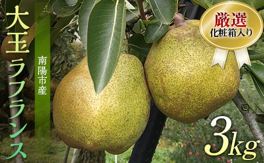 【令和7年産先行予約】 厳選！！大玉ラ・フランス 約3kg (6～8玉 4～6L) 化粧箱入り 《令和7年11月上旬～発送》 『船中農園』 山形県 南陽市 [1677]
