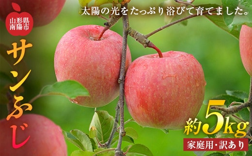 【令和7年産先行予約】 〈訳あり品 家庭用〉 りんご 「サンふじ」 約5kg (13～20玉前後) 《令和7年11月下旬～発送》 『平農園』 産地直送 生産農家直送 山形県 南陽市 [1690]