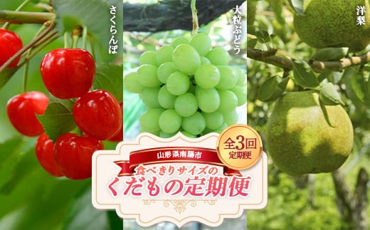 【令和9年産先行予約】 《定期便3回》 食べきりサイズの くだもの定期便 『南陽中央青果市場』 フルーツ 山形県 南陽市 [1745-R9]