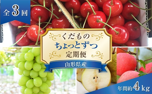 【令和9年産先行予約】 《定期便3回》 くだもの”ちょっとずつ”定期便 『南陽中央青果市場』 山形県 南陽市 [1013-R9]