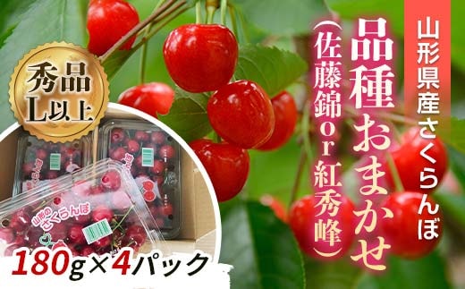 【令和8年産先行予約】 さくらんぼ 「佐藤錦または紅秀峰」 720g (180g×4パック 秀 L以上) 《令和8年6月上旬～発送》 『南陽中央青果市場』 サクランボ 山形県 南陽市 [1476]