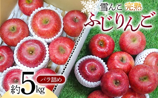 【令和7年産先行予約】 雪んこ 完熟ふじりんご 約5kg バラ詰め 《令和8年1月上旬～発送》 【全国りんご選手権 銀賞】 『船中農園』 りんご リンゴ ふじ ふじりんご 完熟 果物 フルーツ デザート 山形県 南陽市 [1848]