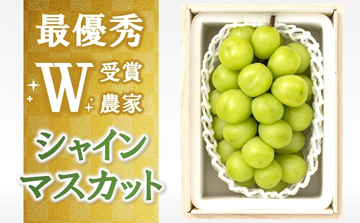 【令和8年産先行予約】 【最優秀賞W受賞農家】 シャインマスカット 700g以上 (1房 特選) 《令和8年9月中旬～発送》『生産者 佐藤 大輔』 [1031]
