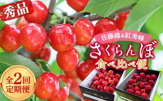 【令和8年産先行予約】 《定期便2回》 さくらんぼ食べ比べ定期便 「佐藤錦・紅秀峰」 各500g (秀品) 『マルエ青果』 果物 くだもの フルーツ 山形県 南陽市 [1888]