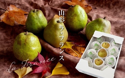 【令和7年産先行予約】 ラ・フランス 化粧箱入 約3kg (8～12玉 秀 L～2L) 《令和7年11月下旬～発送》 『Yamagataうまいな中村屋』 梨 果物 山形県 南陽市 [1742]
