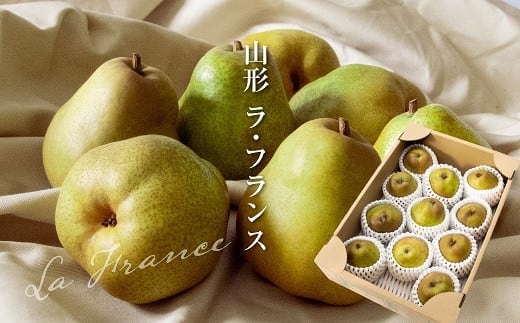 【令和7年産先行予約】 ラ・フランス 約3kg (8～12玉 秀 L～2L) 《令和7年11月下旬～発送》 『Yamagataうまいな中村屋』 梨 果物 フルーツ 山形県 南陽市 [1743]
