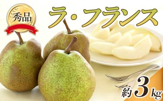 【令和8年産先行予約】 ラ・フランス 約3kg (6～14玉 秀) 《令和8年10月下旬～11月下旬発送》 『フードシステムズ』 ラフランス 西洋梨 洋なし 果物 山形県 南陽市 [848-R8]