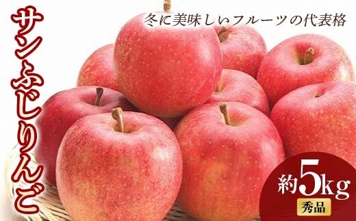 【令和8年産先行予約】 サンふじりんご 約5kg (16～25玉 秀) 《令和8年11月中旬～12月下旬発送》 『フードシステムズ』 林檎 リンゴ 果物 フルーツ 山形県 南陽市 [851-R8]