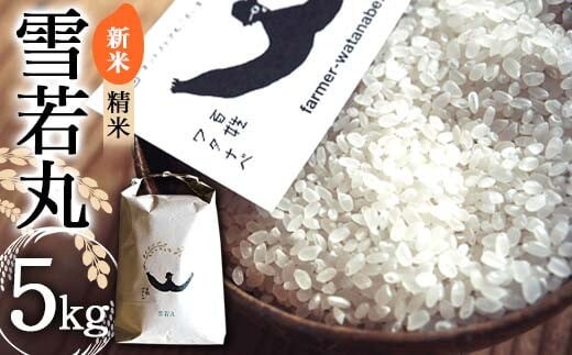 【令和8年産 新米 先行予約】 特別栽培米 雪若丸 (精米) 5kg 《令和8年9月中旬～発送》 『最上園』 米 白米 ご飯 農家直送 山形県 南陽市 [1679-R8]