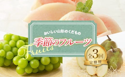 【令和9年産先行予約】《定期便3回》 おいしい山形のくだもの 季節のフルーツ定期便 『NOWAフルーツ』 もも 清水白桃 シャインマスカット ラフランス 山形南陽産 山形県 南陽市 [2063-R9]