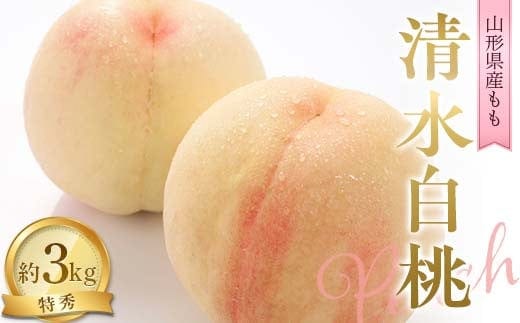【令和9年産先行予約】 もも「清水白桃」 約3kg (11～15玉 特秀) 《令和9年8月中旬～発送》 『NOWAフルーツ』 モモ 果物 フルーツ デザート 山形県 南陽市 [2246-R9]