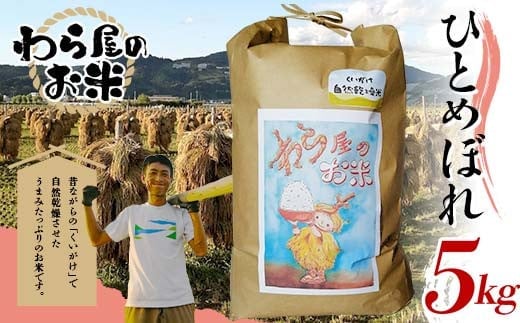 【わら屋のお米】 令和7年産 特別栽培米 ひとめぼれ 5kg 『おがわ藁農園』 米 白米 精米 ご飯 農家直送 山形県 南陽市 [2070]