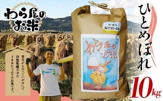 【わら屋のお米】 令和7年産 特別栽培米 ひとめぼれ 10kg 『おがわ藁農園』 米 白米 精米 ご飯 農家直送 山形県 南陽市 [2071]