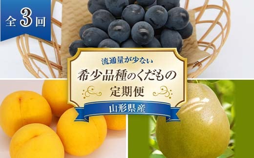 【令和9年産先行予約】 《定期便3回》 流通量が少ない