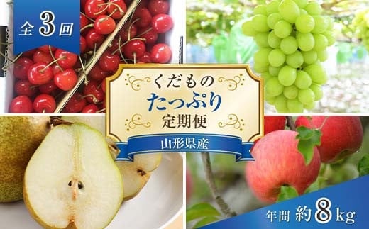 【令和9年産先行予約】 《定期便3回》 くだもの”たっぷり”定期便 『南陽中央青果市場』 山形県 南陽市 [1970-R9]