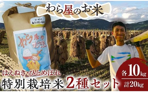 【わら屋のお米】 令和7年産 特別栽培米2種セット 「はえぬき・ひとめぼれ」 各10kg (計20kg) 『おがわ藁農園』 米 白米 精米 ご飯 農家直送 セット 食べ比べ 山形県 南陽市 [2169]