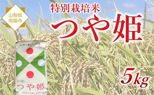 令和7年産 特別栽培米 つや姫 5kg 『松田観光果樹園』 山形南陽産 米 白米 ご飯 農家直送 山形県 南陽市 [2288]