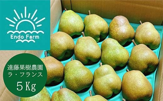 【令和7年産先行予約】 【ネオニコフリー】 〈家庭用〉 ラ・フランス 約5kg (18～20玉 秀 L～2L) 《令和7年11月上旬～発送》 『遠藤果樹農園』 厳選 こだわり ラフランス 西洋梨 洋なし 果物 フルーツ デザート 山形県 南陽市 [1989]