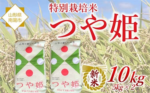 【令和8年産 新米 先行予約】 特別栽培米 つや姫 10kg (5kg×2袋) 《令和8年10月中旬～発送》 『松田観光果樹園』 山形南陽産 米 白米 ご飯 農家直送 山形県 南陽市 [2289-R8]