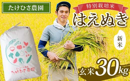【令和8年産 新米 先行予約】 特別栽培米 はえぬき (玄米) 30kg 《令和8年9月下旬～発送》 『たけひさ農園』 山形南陽産 米 ご飯 農家直送 山形県 南陽市 [2375-R8]