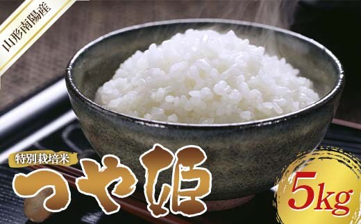 【令和8年産 新米 先行予約】 特別栽培米 つや姫 (精米) 5kg 《令和8年10月中旬～発送》 『フナヤマ農園』 山形南陽産 米 白米 ご飯 農家直送 山形県 南陽市 [2394-R8]