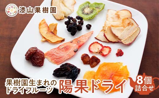 果樹園生まれの ドライフルーツ 「陽果ドライ」 おまかせ8個詰合せ 『漆山果樹園』 山形県 南陽市 [3031]