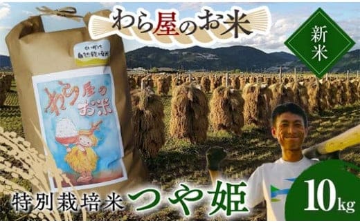【令和8年産 新米 先行予約】 【わら屋のお米】 特別栽培米 つや姫 10kg 《令和8年10月下旬～発送》 『おがわ藁農園』 米 白米 精米 ご飯 農家直送 山形県 南陽市 [2168-R8]