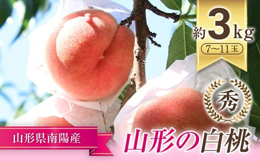 【令和8年産先行予約】 もも「川中島・あかつき・まどか 等」 約3kg (7～11玉) 《令和8年7月下旬～発送》 『生産者 佐藤 勇二』 桃 モモ 果物 フルーツ 山形県 南陽市 [591-R8]