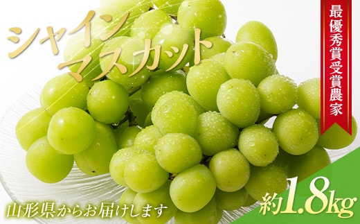 【令和8年産先行予約】 【山形県ぶどう品評会 最優秀賞受賞農家】 シャインマスカット 約1.8kg (3房入り 秀) 《令和8年9月中旬～発送》 『青木農園』 山形県 南陽市 [2027-R8]