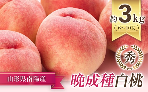 【令和8年産先行予約】 晩成のもも「だて白桃・さくら・西王母 等」 約3kg (6～11玉) 《令和8年9月中旬～発送》 『生産者 高橋 賢一』 山形県 南陽市 [1107-R8]