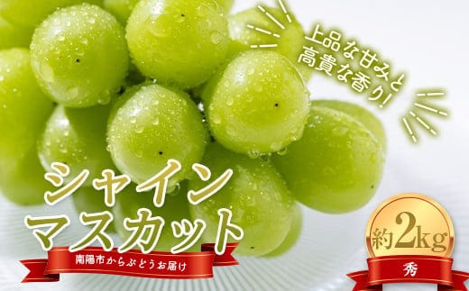 【令和8年産先行予約】 シャインマスカット 約2kg (3～4房 秀) 《令和8年10月上旬～発送》 『紺野農園』 山形県 南陽市 [1913-R8]
