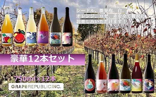 グレリパ 豪華 12本セット 750ml × 12本 『(株)グレープリパブリック』 シードル 微発砲ワイン 白ワイン オレンジワイン ロゼワイン 赤ワイン 山形県 南陽市 [2423]