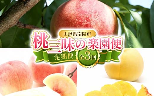 【令和8年産先行予約】 《定期便3回》 桃三昧の楽園便 『フードシステムズ』 もも モモ 果物 フルーツ 山形県 南陽市 [2257-R8]