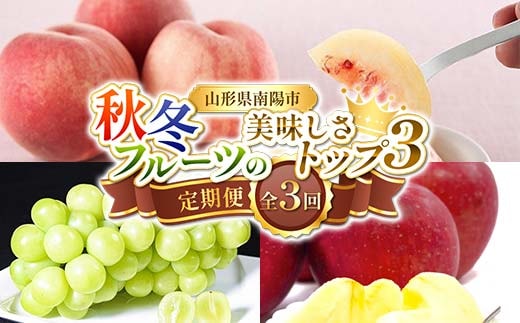 【令和8年産先行予約】 《定期便3回》 秋冬フルーツの美味しさトップ3定期便 『フードシステムズ』 桃 シャインマスカット りんご 果物 フルーツ 山形県 南陽市 [2263-R8]