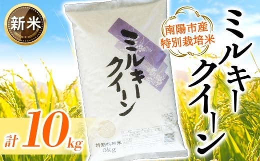【令和7年産 新米 先行予約】 【金賞受賞農家】 特別栽培米 ミルキークイーン 計10kg (5kg×2袋) 《令和7年11月上旬～発送》 『あおきライスファーム』 [2409-AR7]