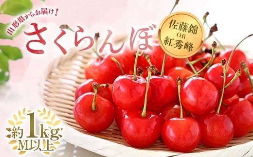 【令和8年産先行予約】 さくらんぼ 「佐藤錦または紅秀峰」 約1kg (秀 M以上) バラ詰め 《令和8年6月中旬～発送》 『南陽中央青果市場』 サクランボ 果物 山形県 南陽市 [2582]