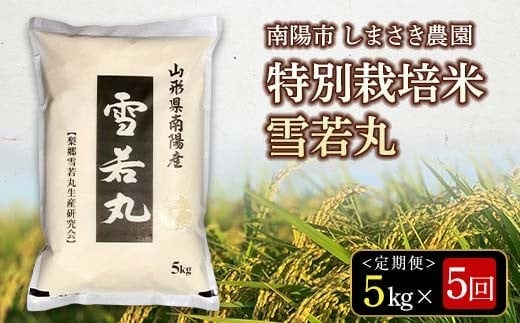 【米食味コンクール金賞受賞農園】 《定期便5回》 令和7年産 特別栽培米 雪若丸 5kg×5か月 《令和8年3月～7月毎月発送》 『しまさき農園』 山形県 南陽市 [2602]