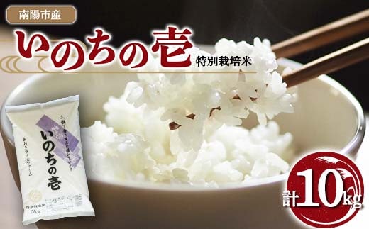 【金賞受賞農家】 令和7年産 特別栽培米 いのちの壱 計10kg (5kg×2袋) 『あおきライスファーム』 山形南陽産 米 白米 精米 ご飯 農家直送 山形県 南陽市 [2403]