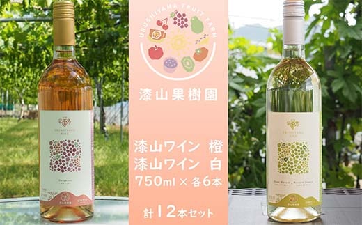 果樹園生まれの 漆山果樹園ワイン 「漆山ワイン (デラウェア)」 「漆山ワイン (シャインマスカット×ロザリオビアンコ)」 750ml 各6本 計12本セット 『漆山果樹園』 オレンジワイン 白ワイン 山形県 南陽市 [2615]