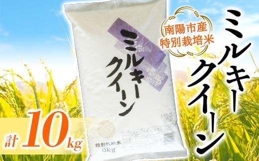 【金賞受賞農家】 令和7年産 特別栽培米 ミルキークイーン 計10kg (5kg×2袋) 『あおきライスファーム』 山形南陽産 米 白米 精米 ご飯 農家直送 山形県 南陽市 [2409]