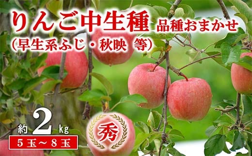 【令和8年産先行予約】 JA 中生種りんご 「早生系ふじ (涼香の季節・昴林)・秋陽・秋映 等」 約2kg (5～8玉 秀) 《令和8年9月下旬～10月中旬発送》 『JA山形おきたま』[2654]