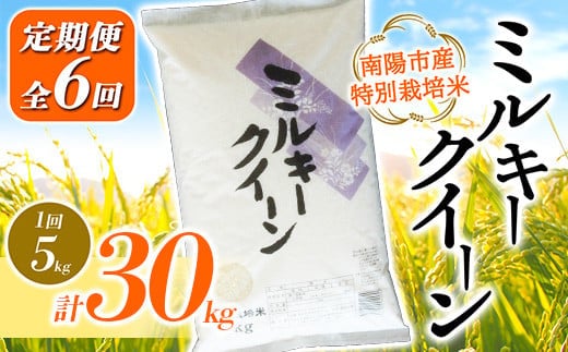 【金賞受賞農家】 《定期便6回》 令和7年産 特別栽培米 ミルキークイーン 5kg×6か月 『あおきライスファーム』 山形南陽産 米 白米 精米 ご飯 農家直送 山形県 南陽市 [1614]