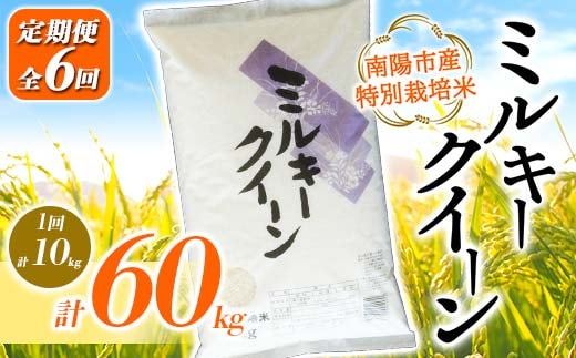 【金賞受賞農家】 《定期便6回》 令和7年産 特別栽培米 ミルキークイーン 計10kg(5kg×2袋)×6か月 『あおきライスファーム』 山形南陽産 精米 ご飯 農家直送 山形県 南陽市 [2416]