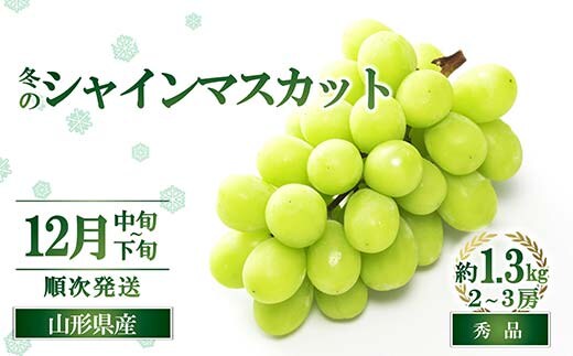【令和8年産先行予約】 JA 冬のシャインマスカット 約1.3kg (2～3房 秀) 《令和8年12月中旬～下旬発送》 『JA山形おきたま』 マスカット ぶどう 山形県 南陽市 [2055-R8]