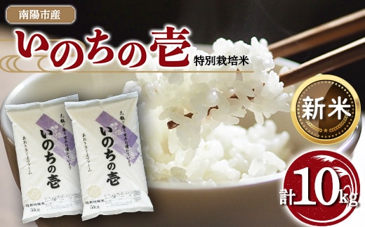 【令和8年産 新米 先行予約】 【金賞受賞農家】 特別栽培米 いのちの壱 計10kg (5kg×2袋) 《令和8年10月中旬～発送》 『あおきライスファーム』 [2403-R8]