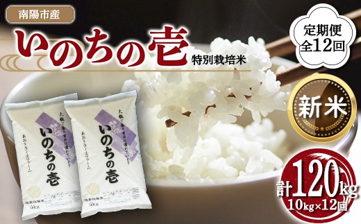 【令和8年産 新米 先行予約】【金賞受賞農家】 《定期便12回》 特別栽培米 いのちの壱 計10kg(5kg×2袋)×12か月 《令和8年10月中旬～発送》 『あおきライスファーム』[2670-R8]