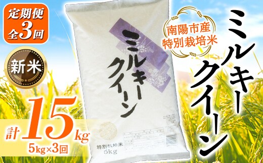 【令和8年産 新米 先行予約】 【金賞受賞農家】 《定期便3回》 特別栽培米 ミルキークイーン 5kg×3か月 《令和8年9月下旬～発送》 『あおきライスファーム』 [1613-R8]