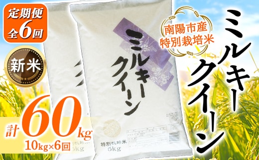 【令和8年産 新米 先行予約】【金賞受賞農家】 《定期便6回》 特別栽培米 ミルキークイーン 計10kg(5kg×2袋)×6か月 《令和8年9月下旬～発送》 『あおきライスファーム』[2416-R8]