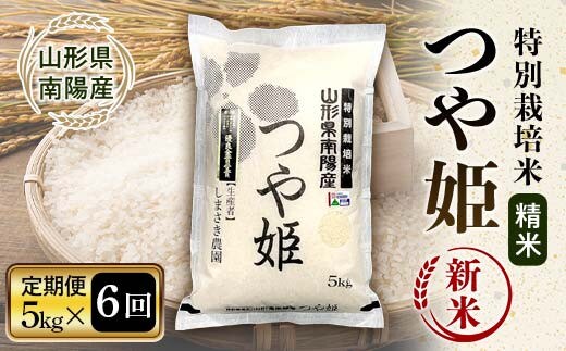 【令和8年産 新米 先行予約】 【米食味コンクール金賞受賞農園】 《定期便6回》 特別栽培米 つや姫 5kg×6か月 《令和8年10月中旬～発送》 『しまさき農園』 山形南陽産 米 白米 精米 ご飯 農家直送 山形県 南陽市 [2397-R8]