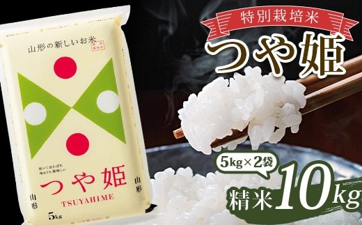 令和7年産 特別栽培米 つや姫 (精米) 10kg (5kg×2袋) 山形県南陽市産 米 白米 ご飯 農家直送 山形県 南陽市 [2363-A]